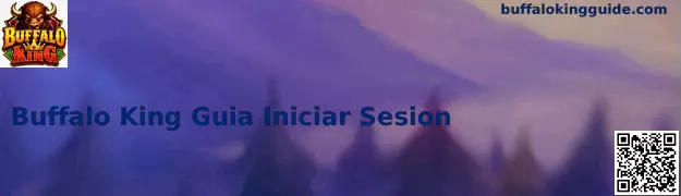 Panel de Login Seguro Buffalo King Guide