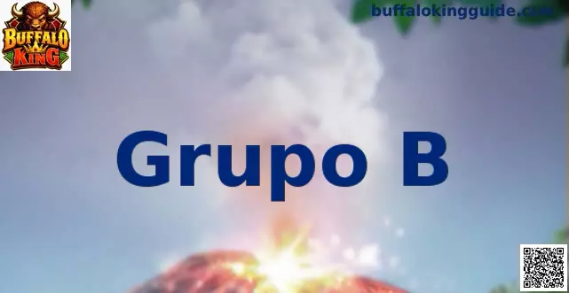 Grupo B Buffalo King Estrategias en México