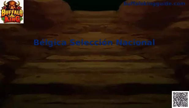 Bélgica Selección Nacional