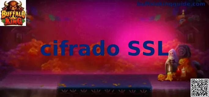 Guía visual sobre cifrado SSL para sitios web seguros en México