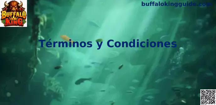 Términos y Condiciones Buffalo King